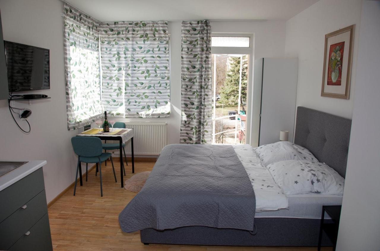 Apartman U Doktora Banska Bystrica Exterior photo